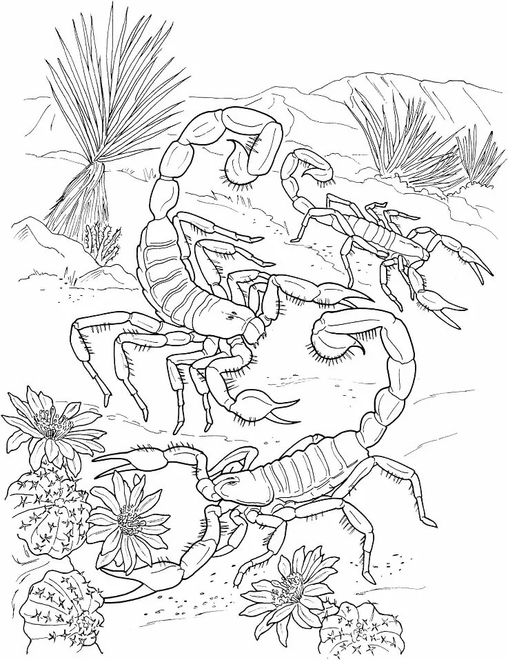 Dibujos de Desierto muy sencillo para colorear