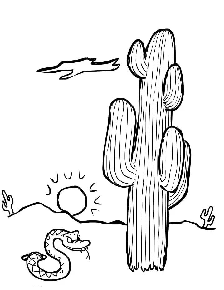 Dibujos de Desierto sencillo para colorear