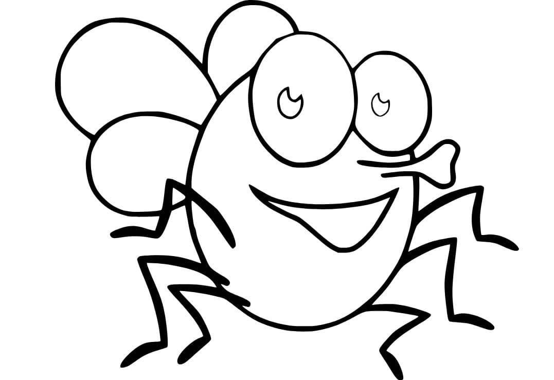 Dibujos de Dibuja Mosca divertida para colorear