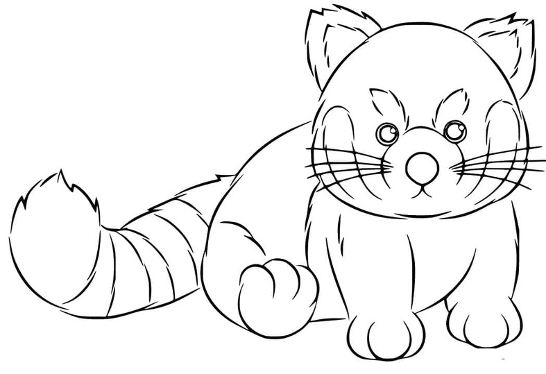 Dibujos de Dibuja Panda Rojo gratis para colorear
