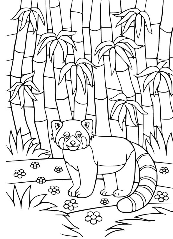 Dibujos de Dibuja Panda Rojo sencillo para colorear
