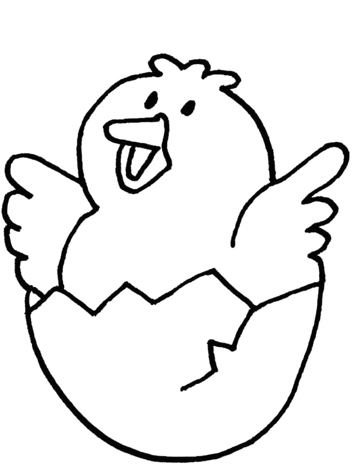 Dibujos de Dibuja pollitos básica para colorear