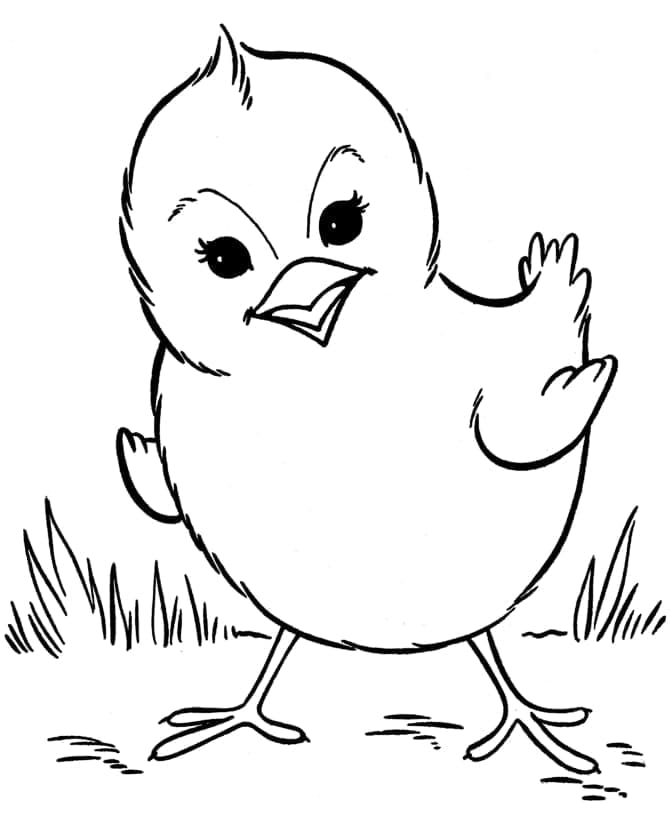 Dibujos de Dibuja pollitos imprimir gratis para colorear