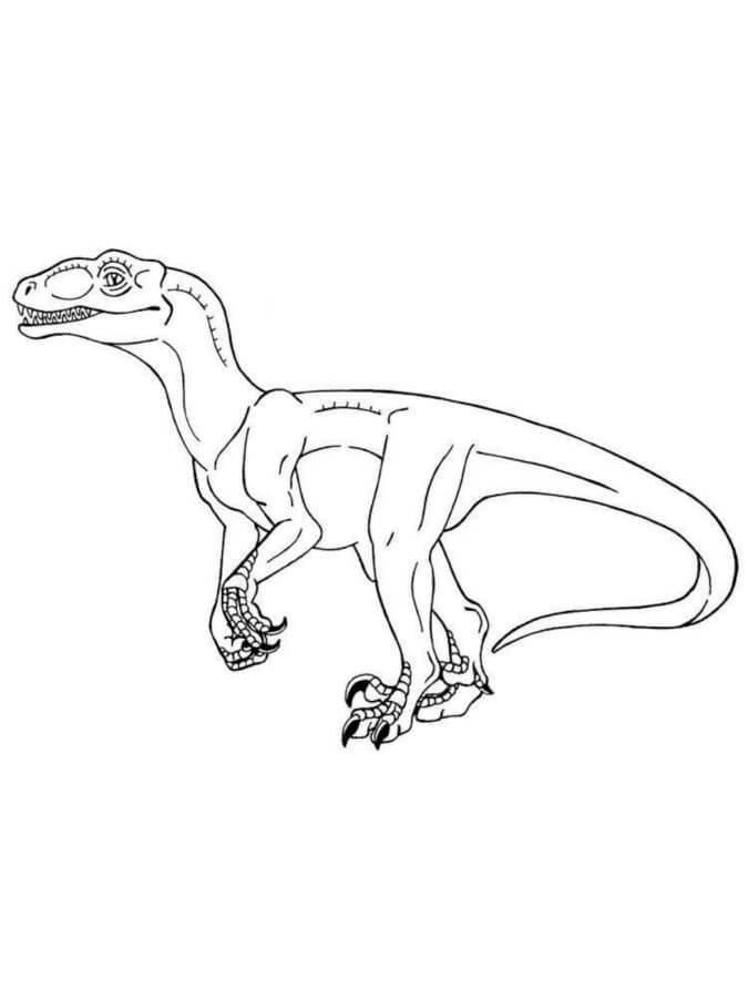 Dibujos de Dibuja un velociraptor asombroso para colorear