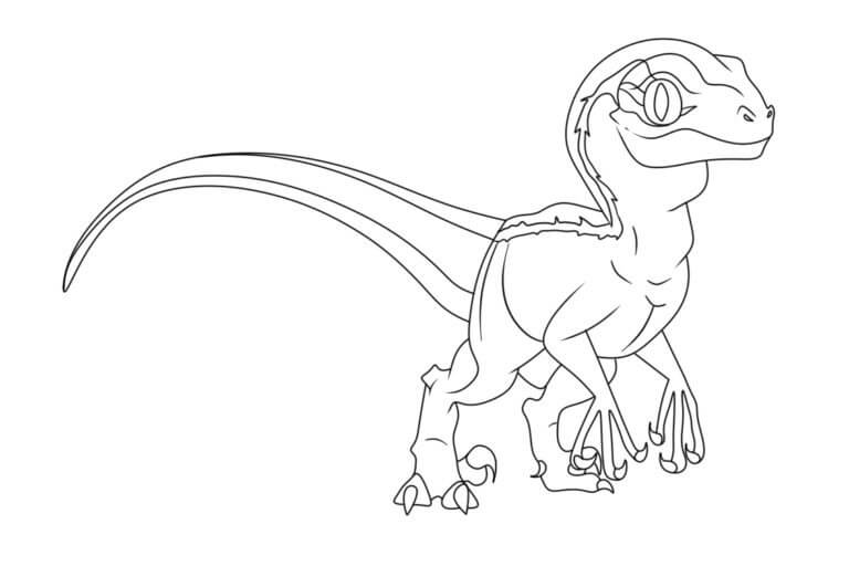 Dibuja un velociraptor impresionante para colorir