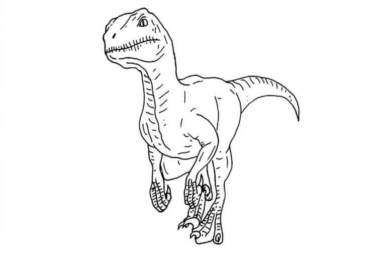 Dibujos de Dibuja un Velociraptor perfecto para colorear