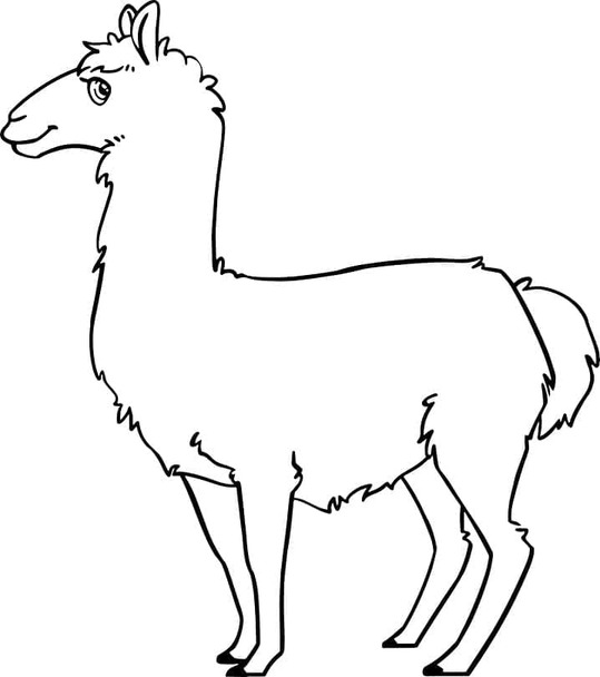 Dibujos de Dibuja una llama imprimir gratis para colorear