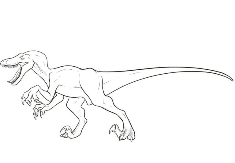 Dibujos de Dibuja Velociraptor muy bellamente. para colorear