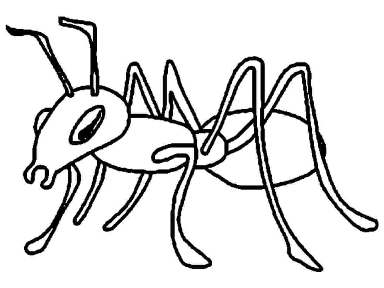 Dibujar a Mano Hormiga para colorir