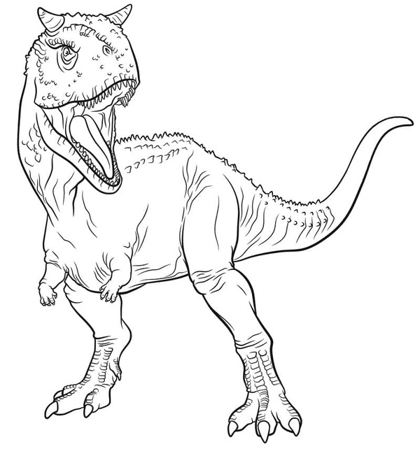 Dibujos de Dibujar básico Carnotaurus para colorear