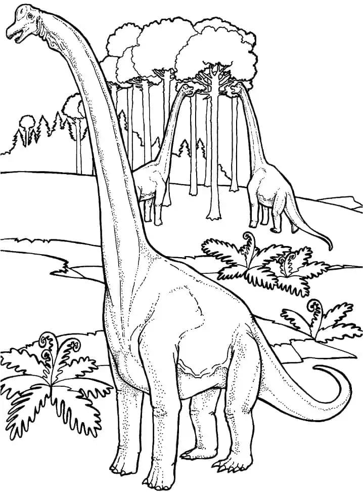 Dibujos de Dibujar Braquiosaurio básico para colorear