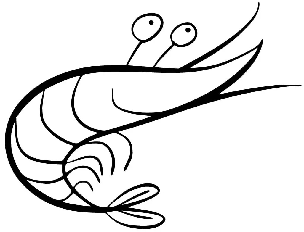 Dibujos de Dibujar Camarones imprimible para niños para colorear