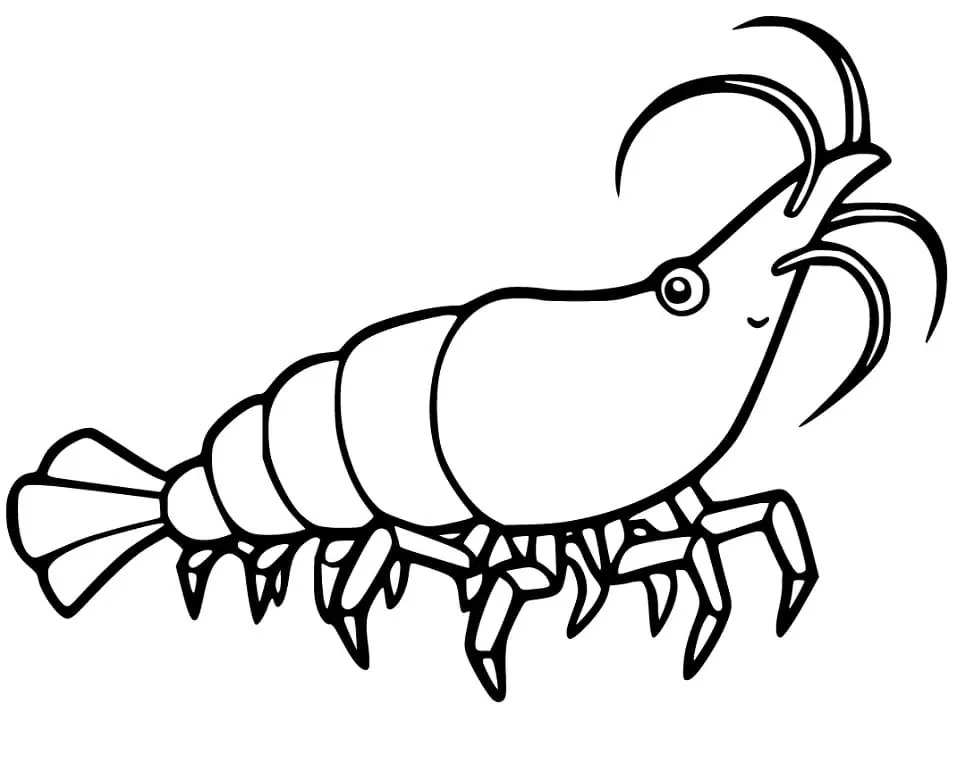 Dibujos de Dibujar Camarones sencillo para colorear