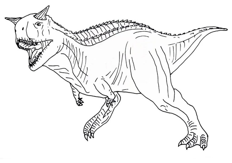 Dibujos de Dibujar Carnotaurus gratis para colorear