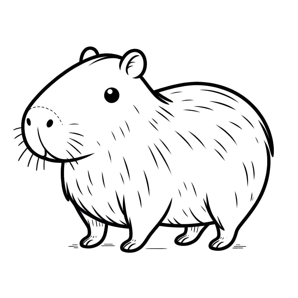 Dibujos de Dibujar Carpincho 6 para colorear