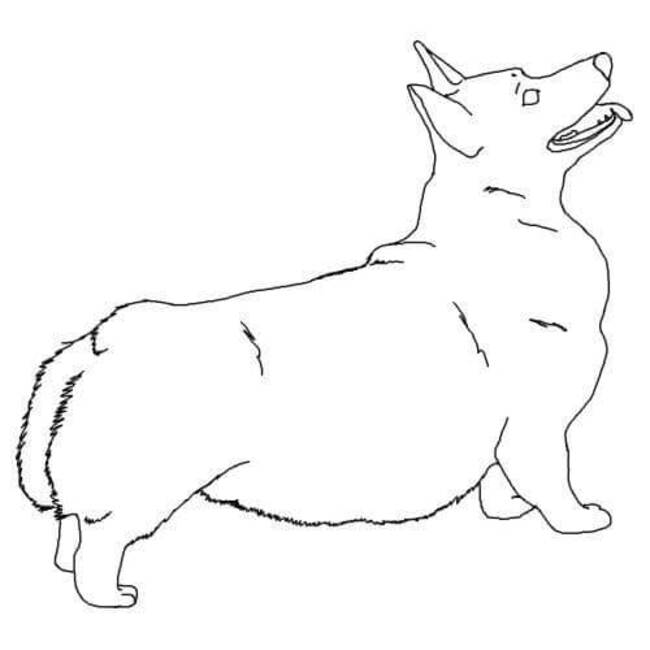 Dibujos de Dibujar Corgi en niños para colorear