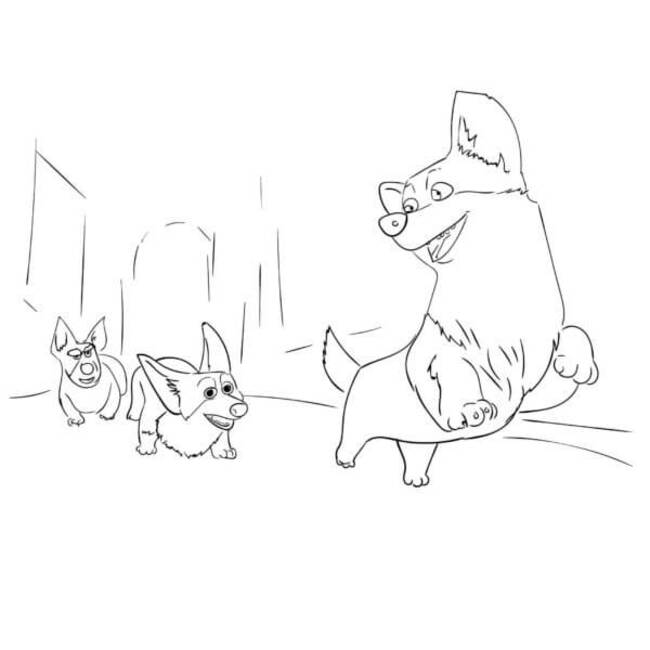 Dibujos de Dibujar Corgi fácil para colorear