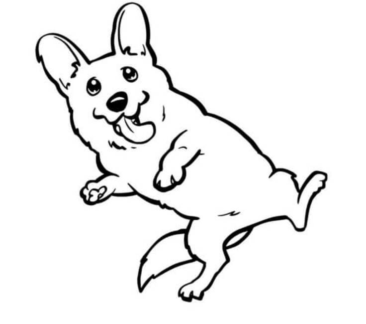 Corgi para colorear