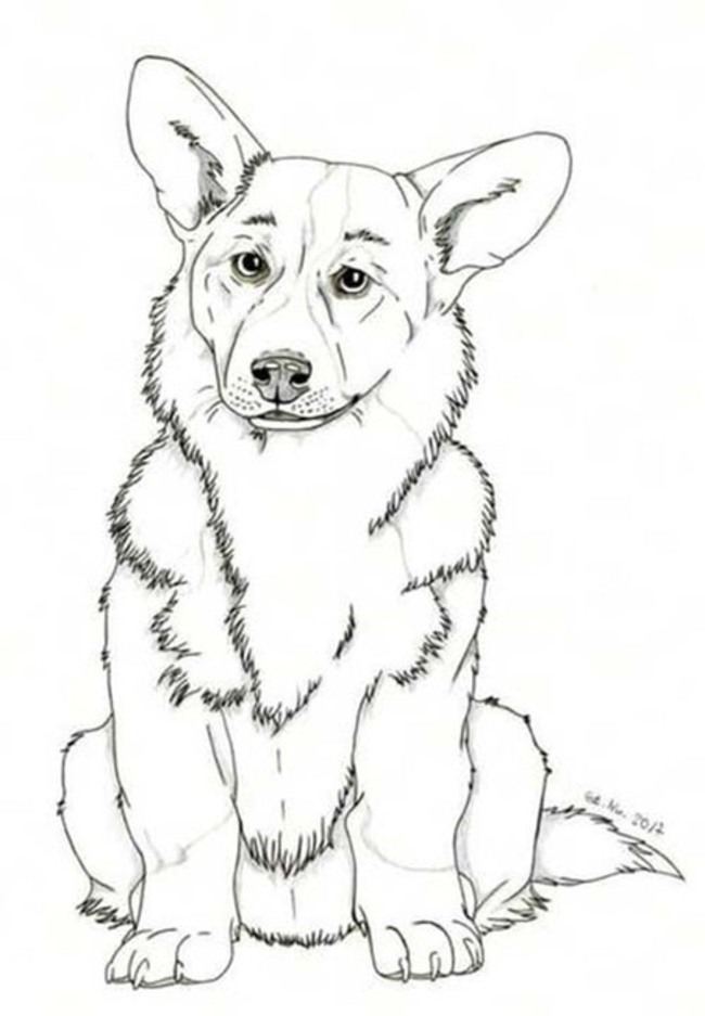 Dibujos de Dibujar Corgi gratis para colorear