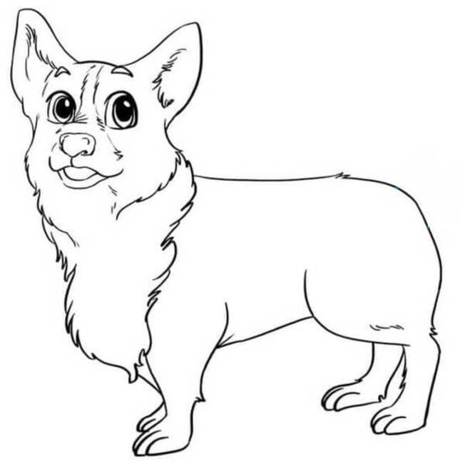 Dibujos de Dibujar Corgi gratis para niños para colorear