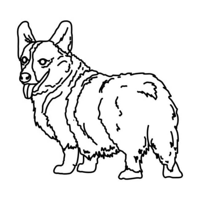 Dibujos de Dibujar Corgi imprimible para niños para colorear