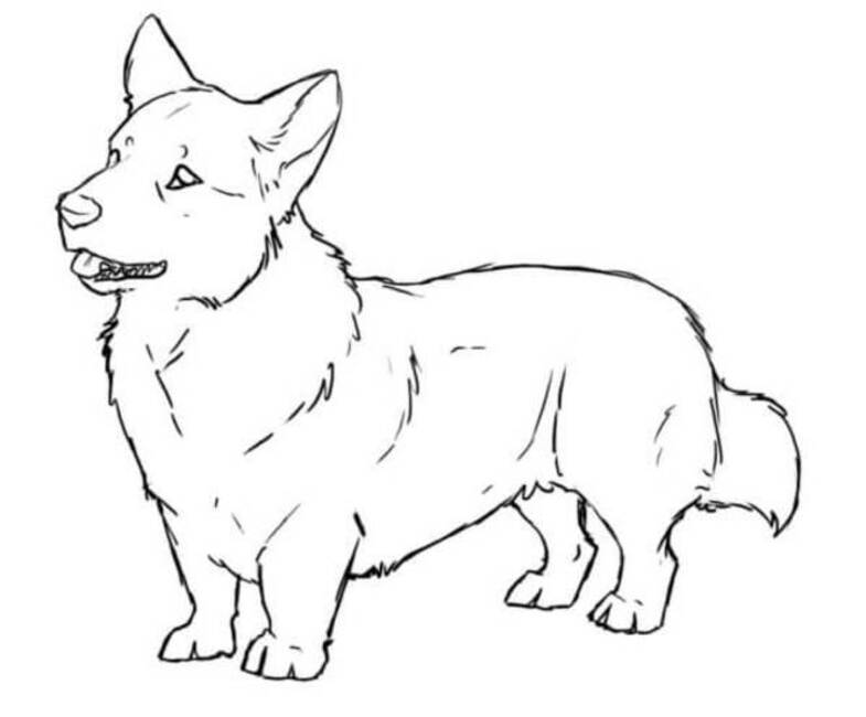 Dibujos de Dibujar Corgi lindo para colorear