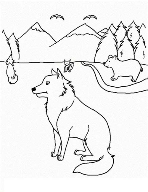 Dibujos de Dibujar Coyote básico para colorear