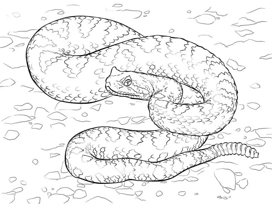 Dibujos de Dibujar Desierto básico en niños para colorear