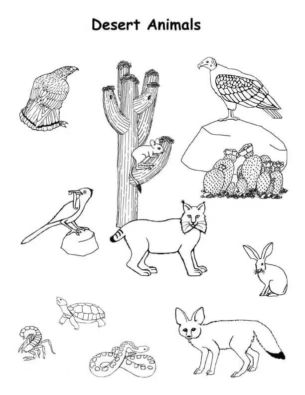 Dibujos de Dibujar Desierto básico para colorear