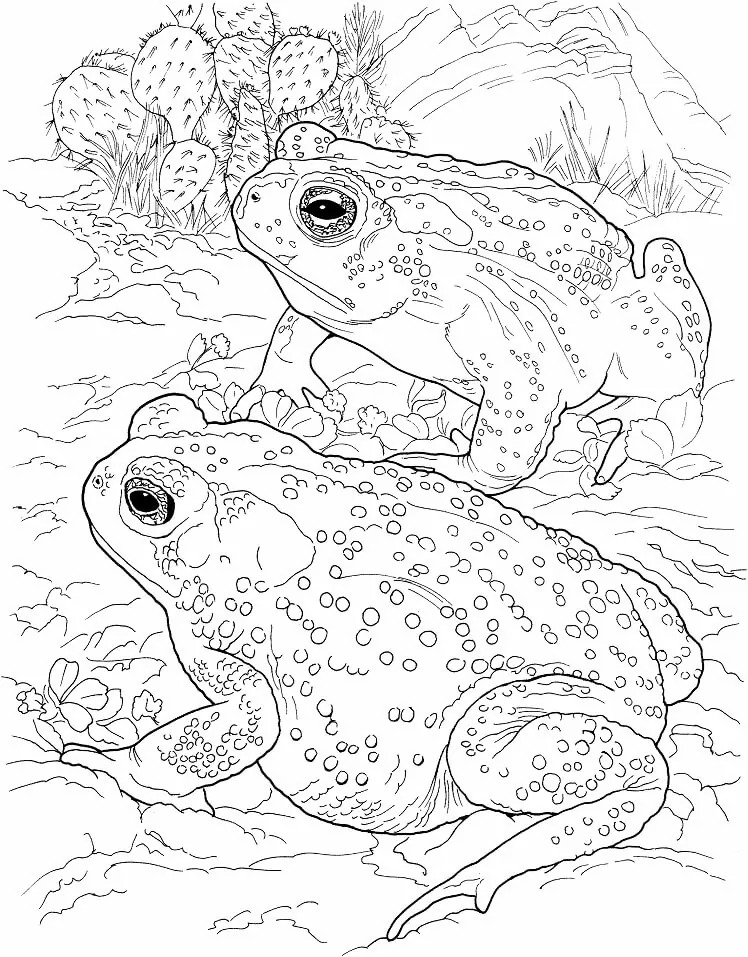 Dibujos de Dibujar Desierto fácil en niños para colorear