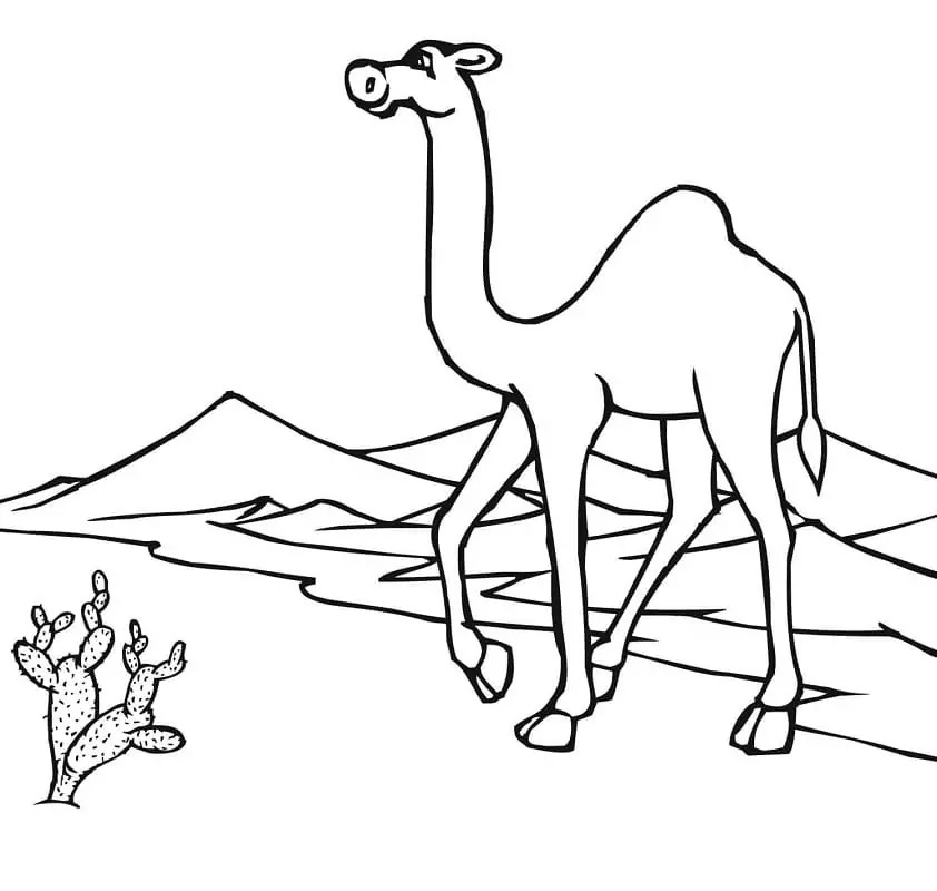 Desierto para colorear