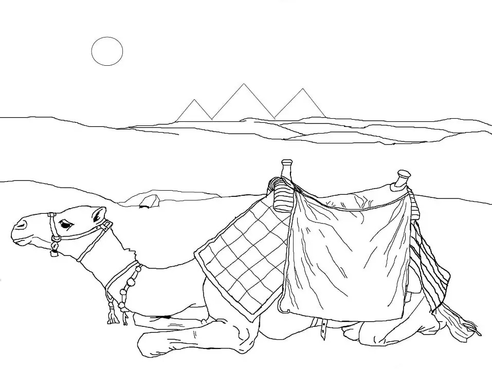 Dibujos de Dibujar Desierto imprimible para colorear