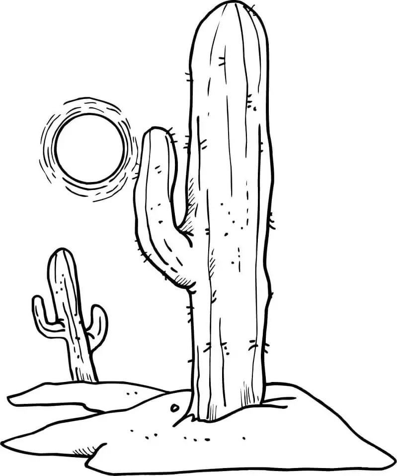 Dibujos de Dibujar Desierto sencillo en niños para colorear