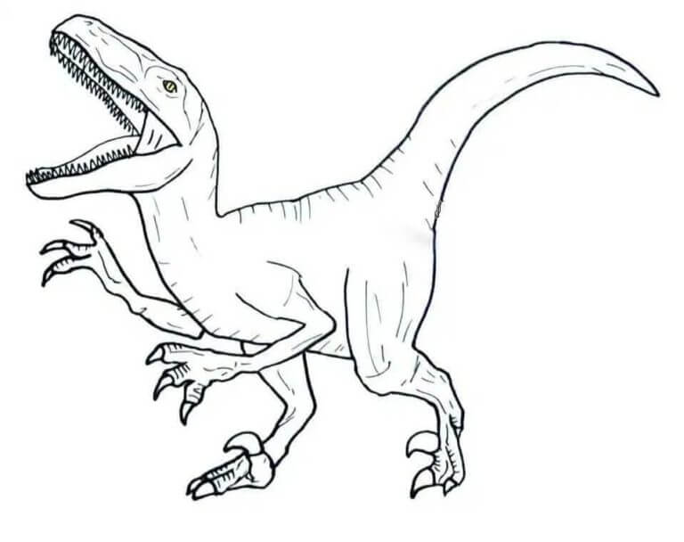 Dibujos de Dibujar dinosaurio velociraptor para colorear