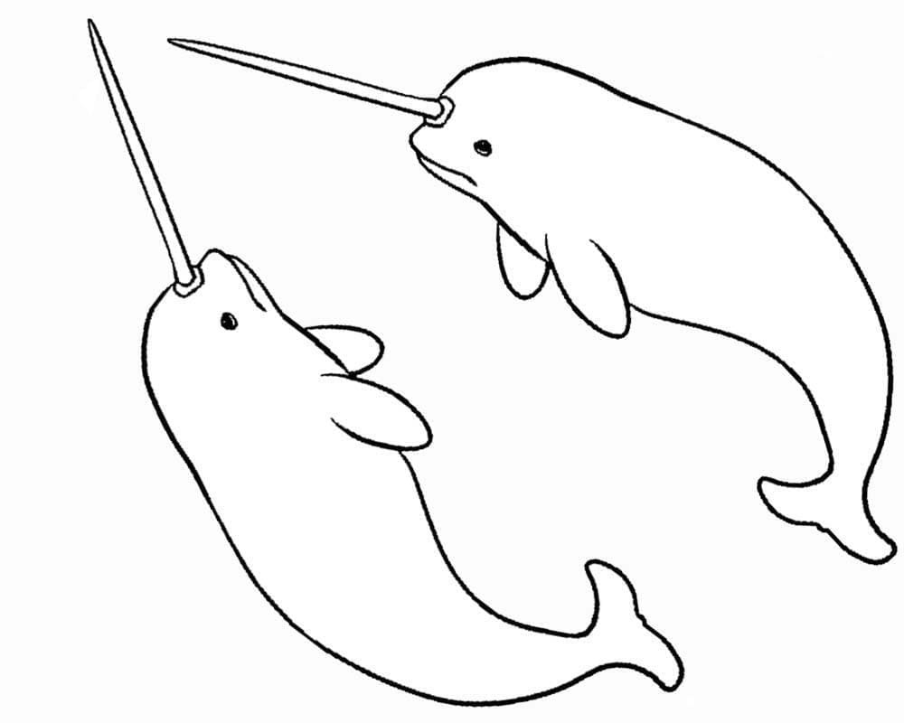 Dibujos de Dibujar dos Narval para colorear
