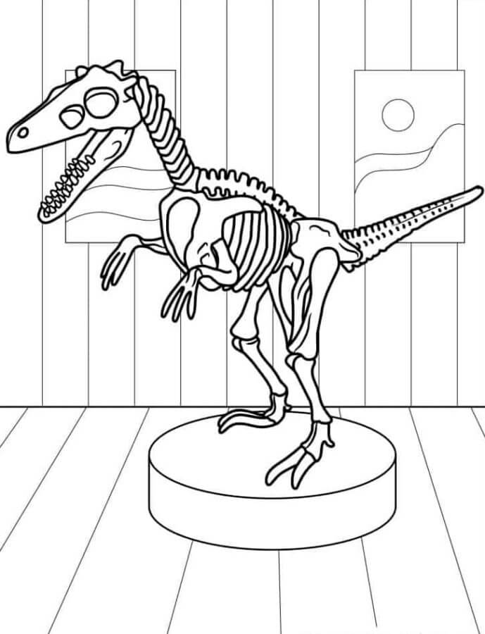 Dibujar el esqueleto del velociraptor para colorir