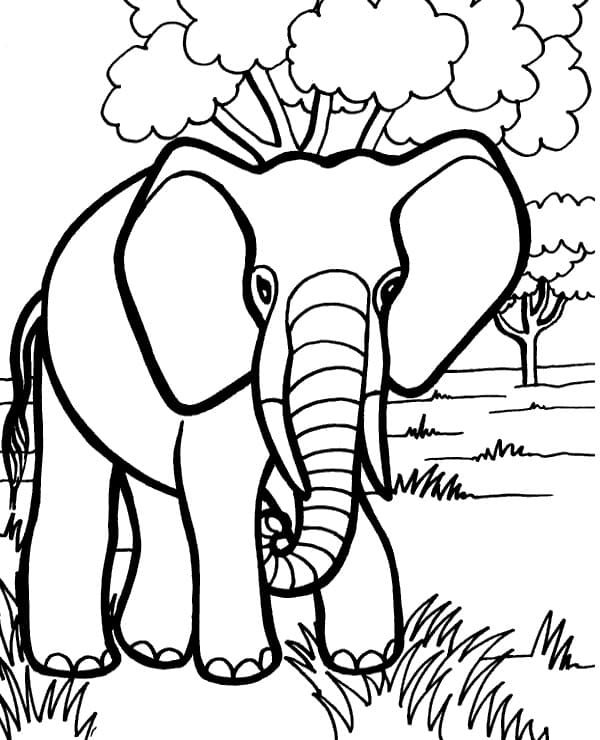 Dibujos de Dibujar Elefante 6 para colorear