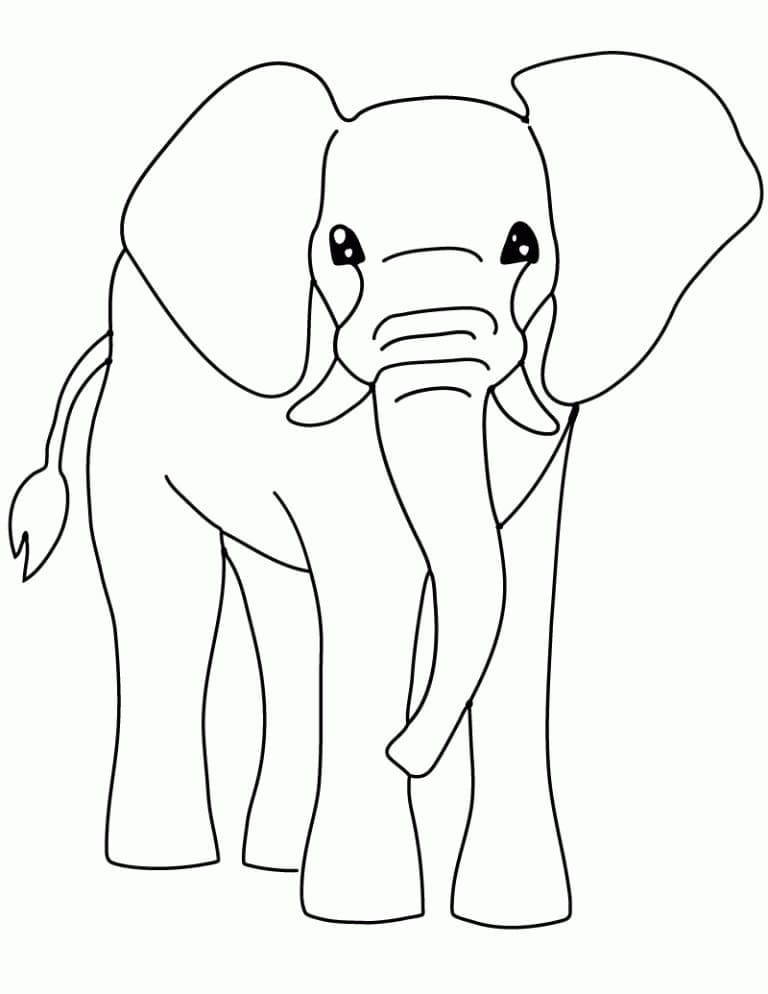 Dibujos de Dibujar Elefante fácil para colorear