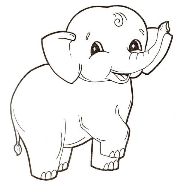 Dibujos de Dibujar Elefante gratis para colorear