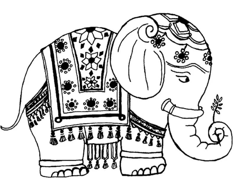 Dibujos de Dibujar Elefante imprimible gratis para colorear