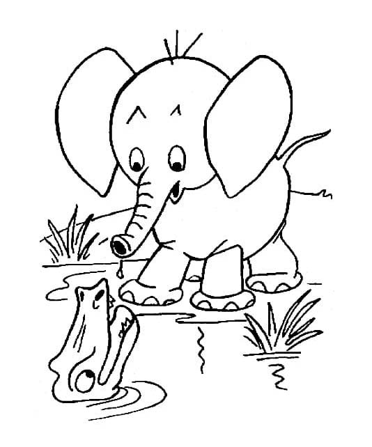 Dibujos de Dibujar Elefante sencillo para colorear