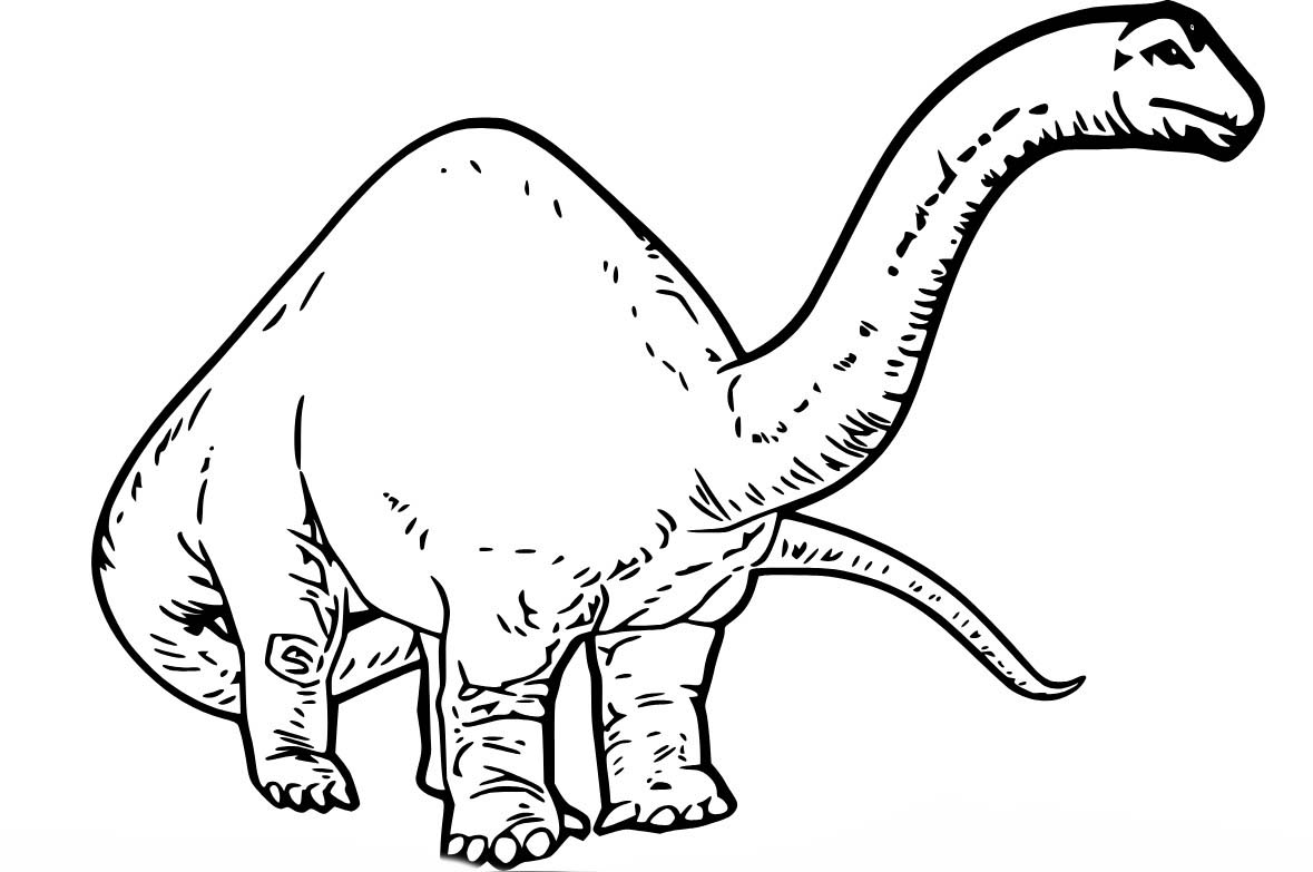 Dibujos de Dibujar fácil Braquiosaurio realista para colorear