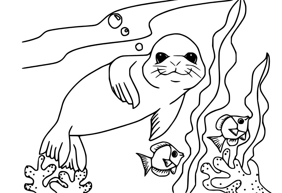 Dibujos de Dibujar foca y corales para colorear