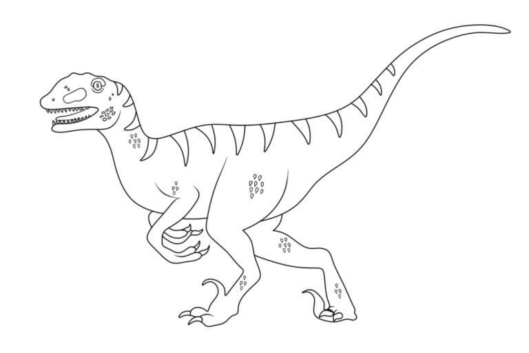 Dibujar Gran Velociraptor para colorir