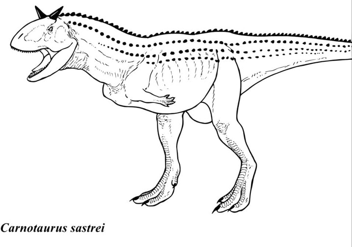 Dibujos de Dibujar gratis Carnotaurus imprimir para colorear