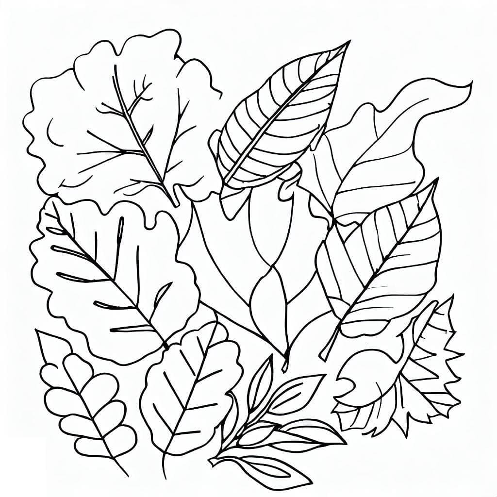 Dibujos de Dibujar hojas de otoño gratis para colorear