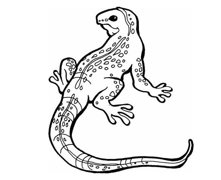 Dibujos de Dibujar Imagen Lagartija para colorear