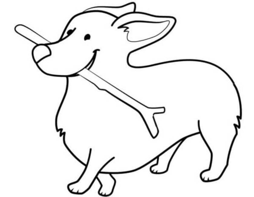 Dibujos de Dibujar impresión Corgi para colorear