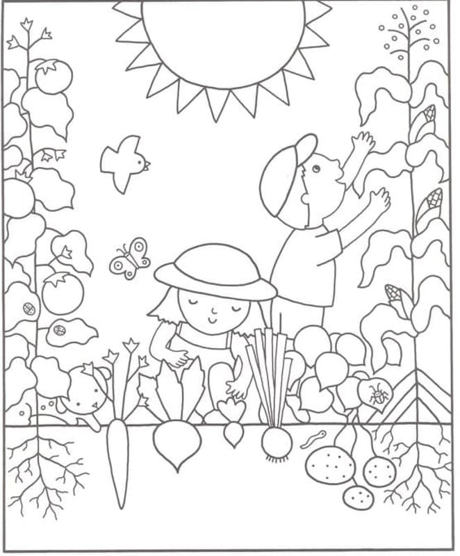 Dibujos de Dibujar Jardín básico para colorear