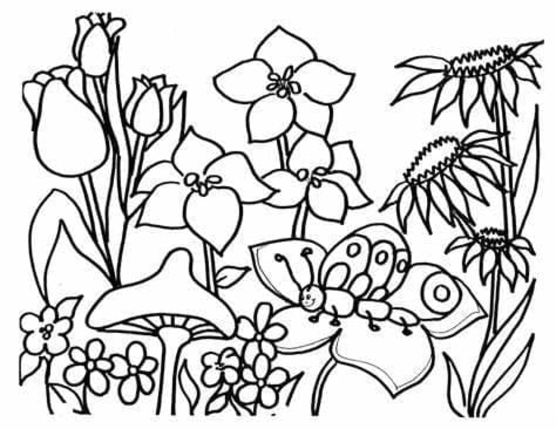 Dibujos de Dibujar Jardín gratis sencillo para colorear